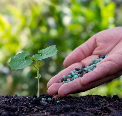 fertilizantes-geo