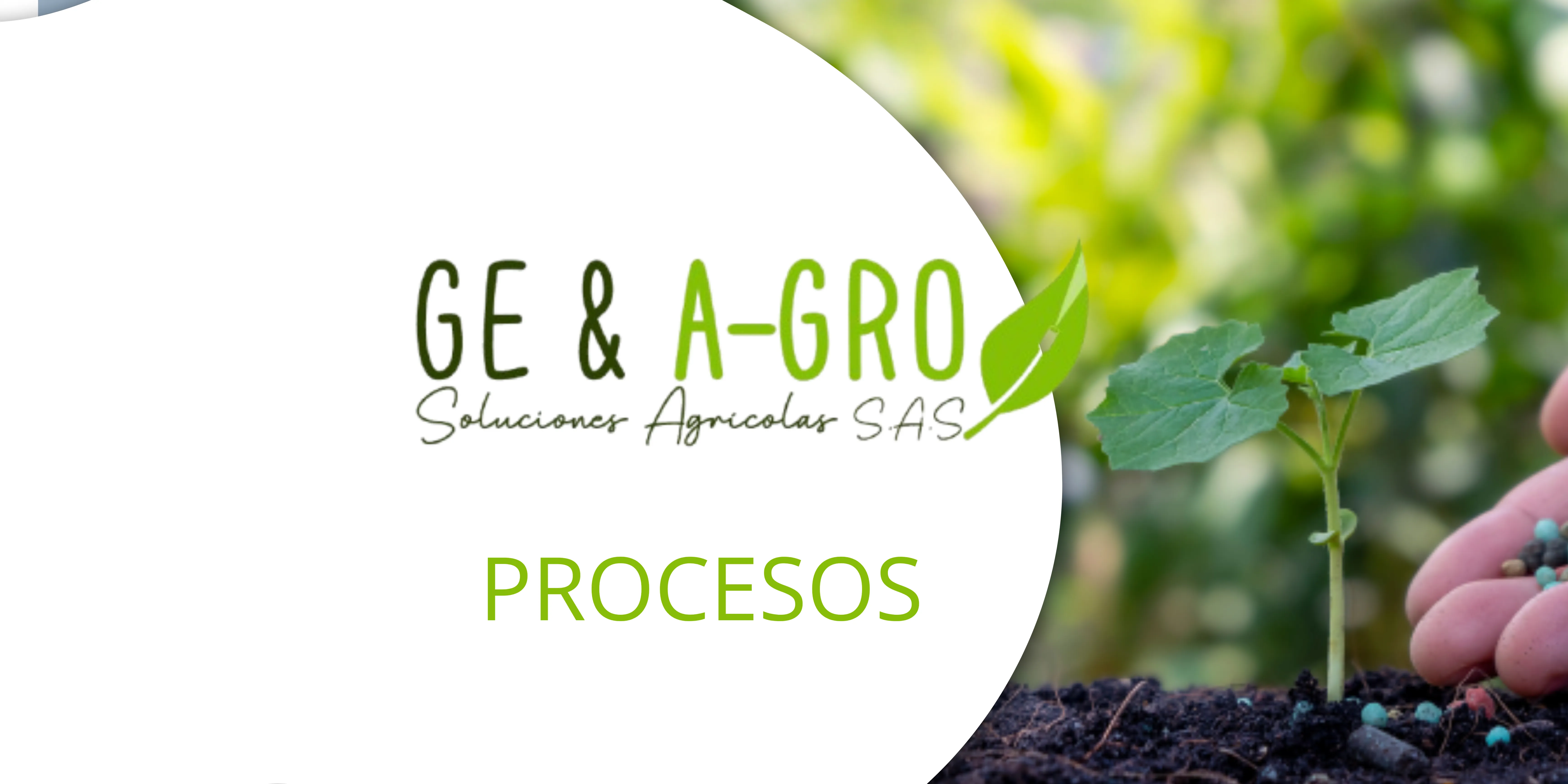 procesos-2